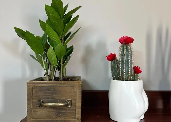 Appartement Lost At Sea