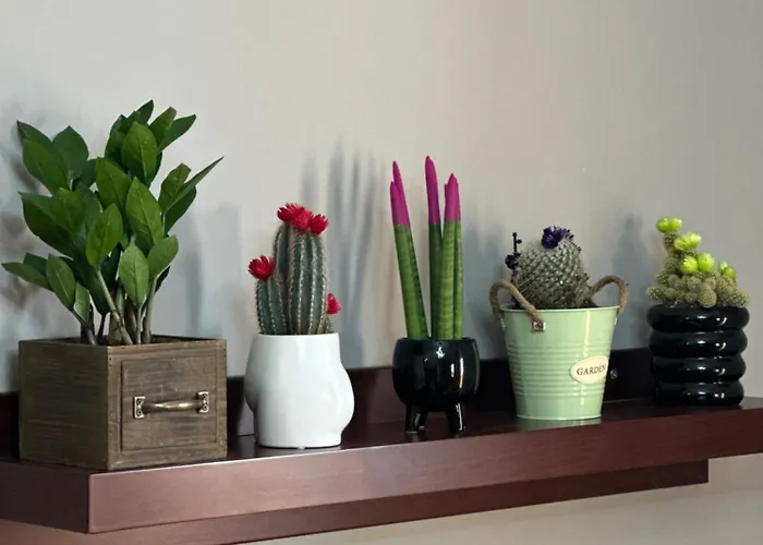 Lost At Sea Appartamento